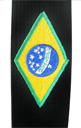 Brazilian Jujitsu belt